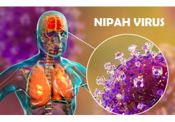 "NIPAH" ВИРУСИЙН ХАЛДВАРААС СЭРЭМЖЛЭХ СЭРЭМЖЛҮҮЛЭГ!